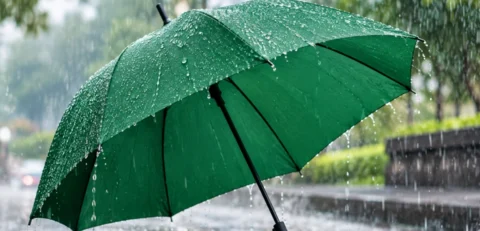 Image-Takaful